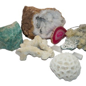 Crystals/Fossils/Minerals