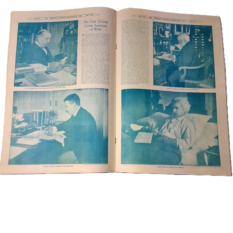 ladies-home-companion-april-1906-pages-28-29